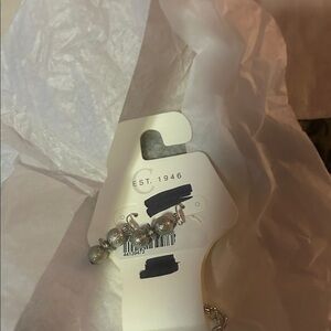 NWT! Silver Beaded Necklace & Earring Set